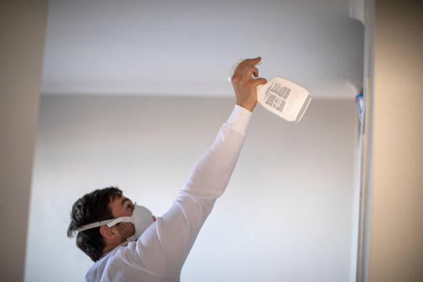 Professional Mold Remediation in Bay City, MI