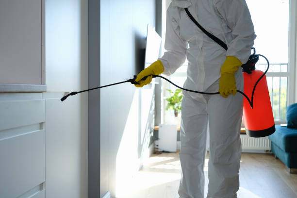 Best Commercial Mold Remediation in Bay City, MI