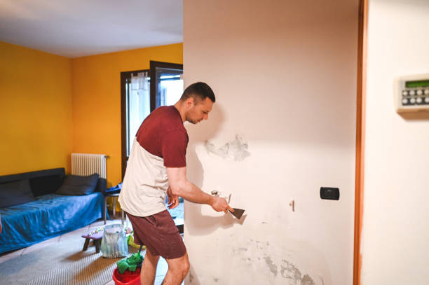 Best Industrial Mold Remediation in Bay City, MI